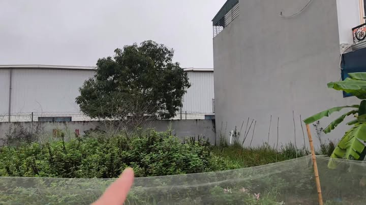 Bán 2 Lô Đất Nền KDC Quang Tiền, Trà Ôn - 92m² Hướng Tây Bắc, Giá Tốt