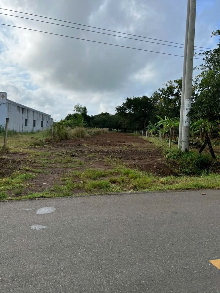 Đất Nền 854m² Đường Đoàn Trung Còn, Châu Đức - Giá 3 Tỷ