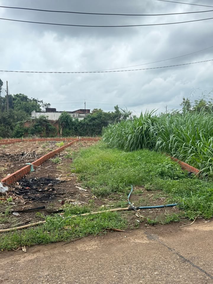 Đất nền Đường 29 Gia Nghĩa 120m² – Tiềm năng tăng giá vượt trội!