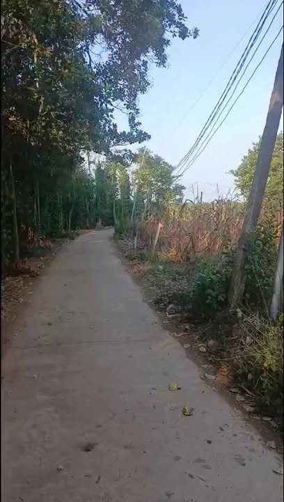 Bán Đất 3600m² Xã Lâm San, Cẩm Mỹ - 1 Tỷ, Mặt Tiền Rộng