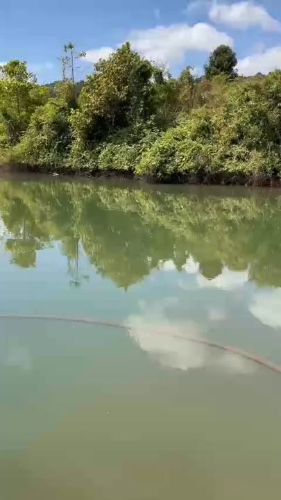 Đất Nền 1.5ha Xuân Lộc, Đồng Nai - Sổ Đỏ Riêng, View Hồ, Giá 3.6 Tỷ