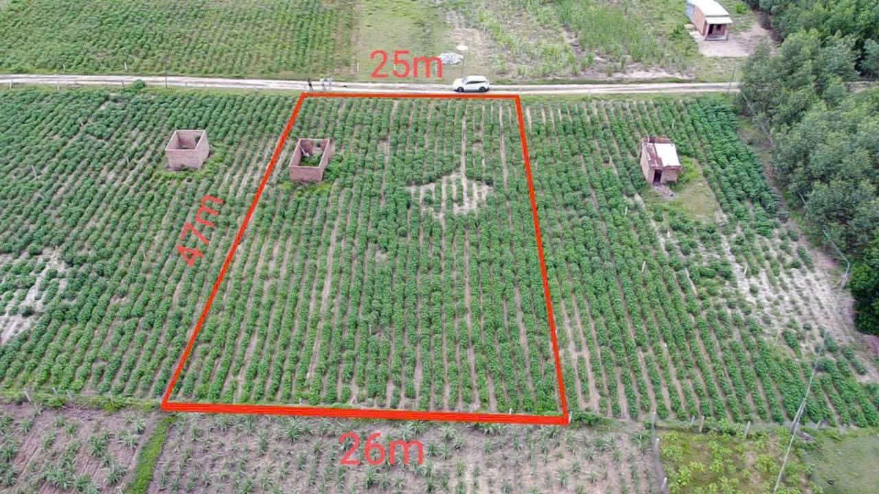 Đất nền Hòa Trí Ninh Hòa 1.187m² 1.999 tỷ - Sổ đỏ chính chủ