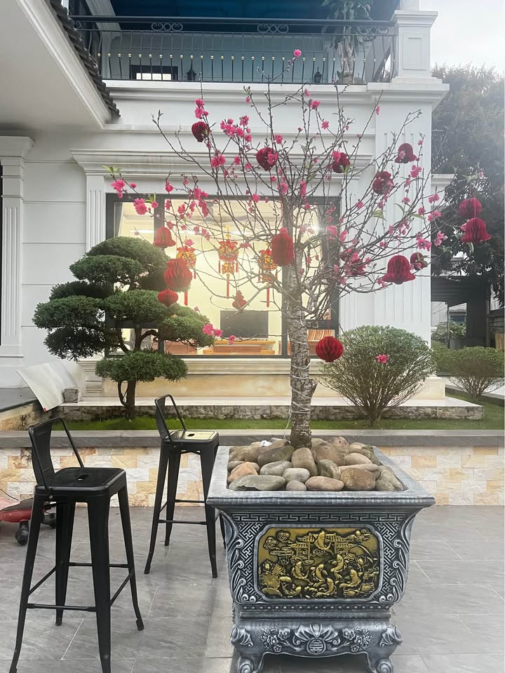 Đất nền Gia Sàng, Thái Nguyên 106m² – Sổ đỏ chính chủ, tiềm năng sinh lời!