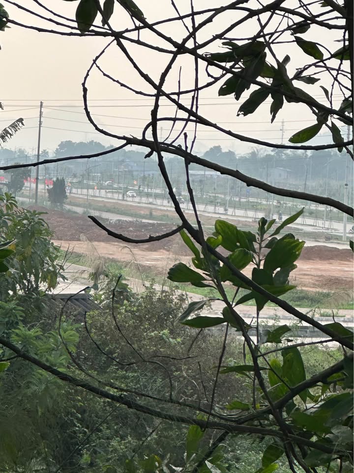 Đất nền Quyết Thắng TP Thái Nguyên 100m² giá 1 tỷ - Vị trí vàng!