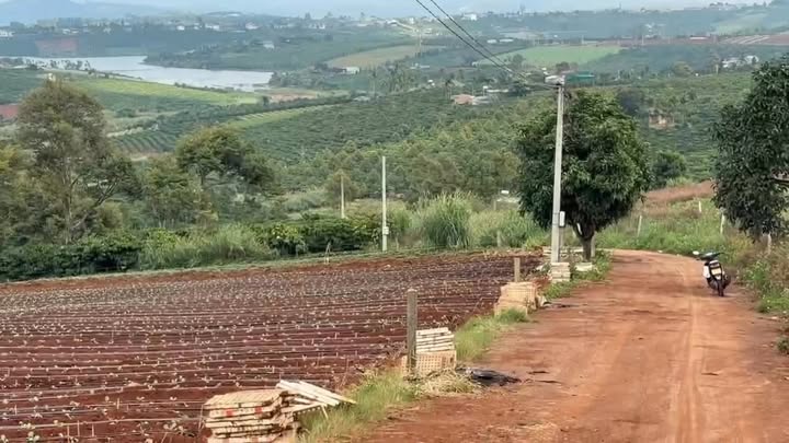 Đất nền Phúc Thọ 1000m² view hồ - Sổ đỏ chính chủ!