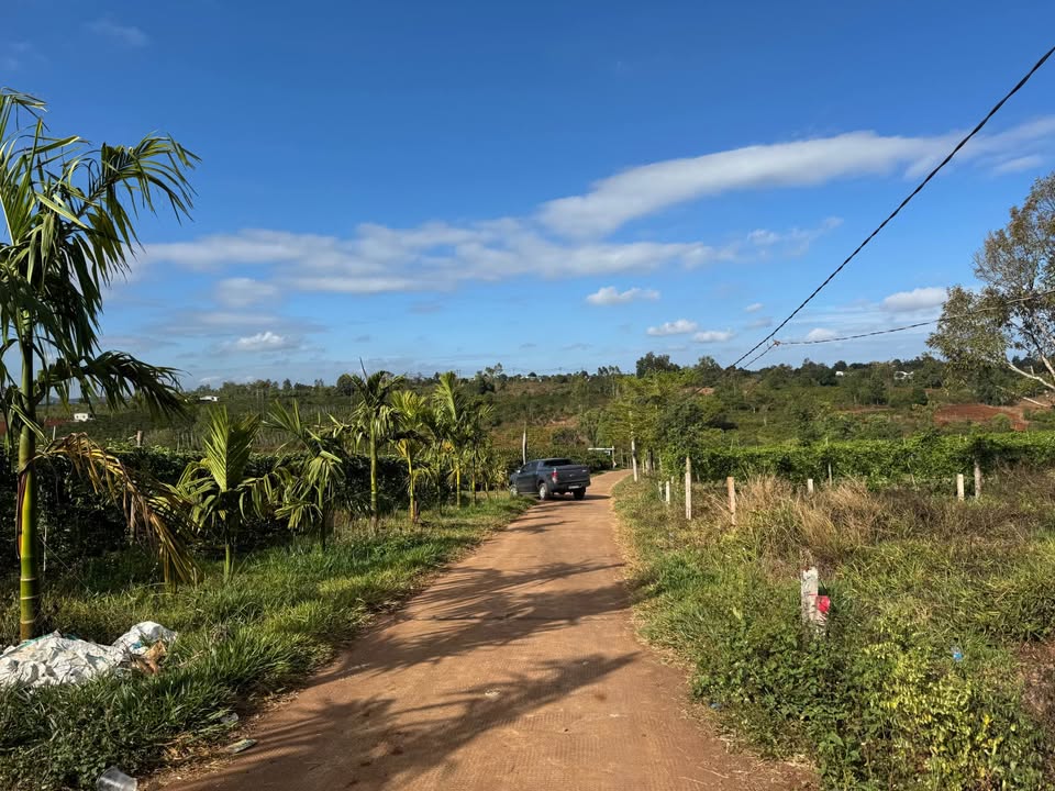 Đất nền Pleiku 250m² giá 780 triệu - Sổ đỏ chính chủ!