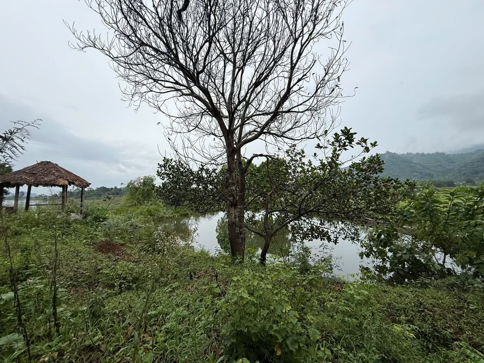 Đất vườn 3100m² Lương Sơn, Hòa Bình – Nghỉ dưỡng lý tưởng, view hồ