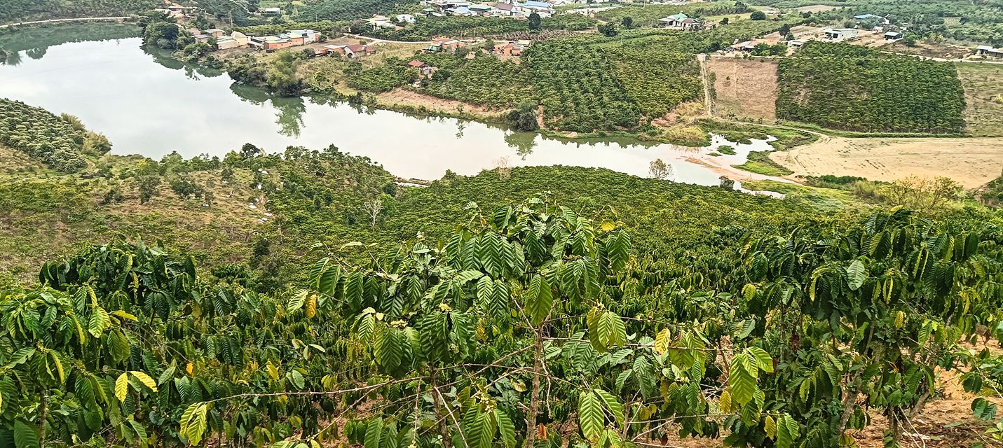 Đất Nền Đam Rông Lâm Đồng 15000m² - Tiềm Năng Tăng Giá Vượt Trội