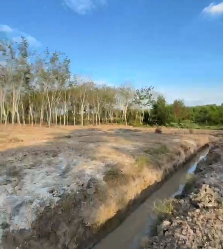 Đất nền Xã Phước Sang, Phú Giáo 1800m² - Xây dựng tự do!