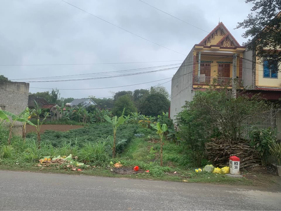 Đất nền Cẩm Thủy - Thanh Hóa: 240m² mặt tiền QL217, sổ đỏ, giá tốt