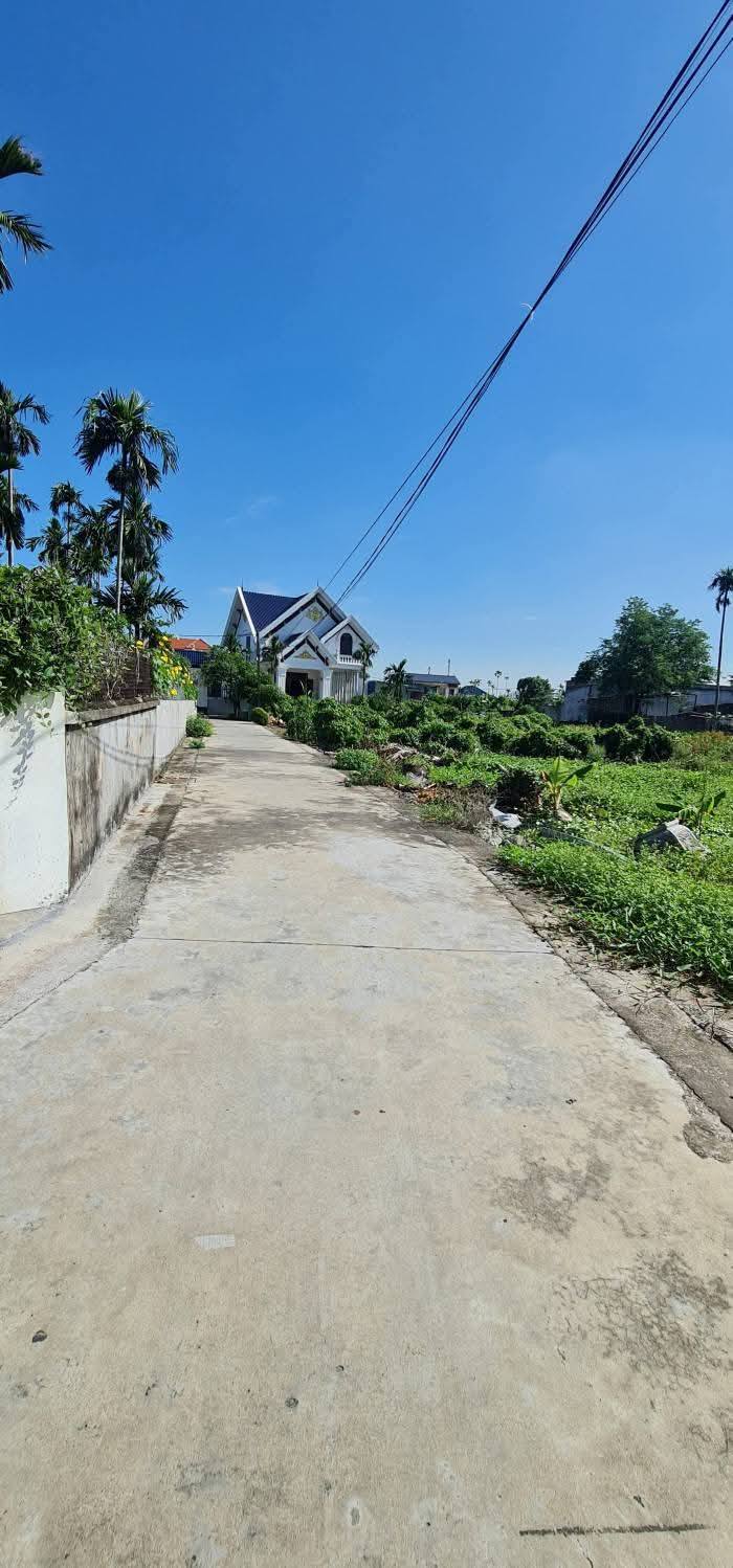 Đất nền Quốc Tuấn, An Lão 63m² - Đường to ô tô vào tận cửa!