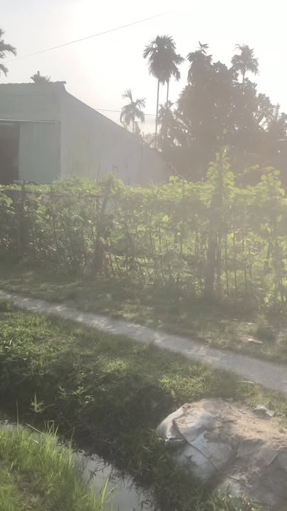 Đất nền Tam Đàn, Phú Ninh 168m² - Tiềm năng tăng giá vượt trội!