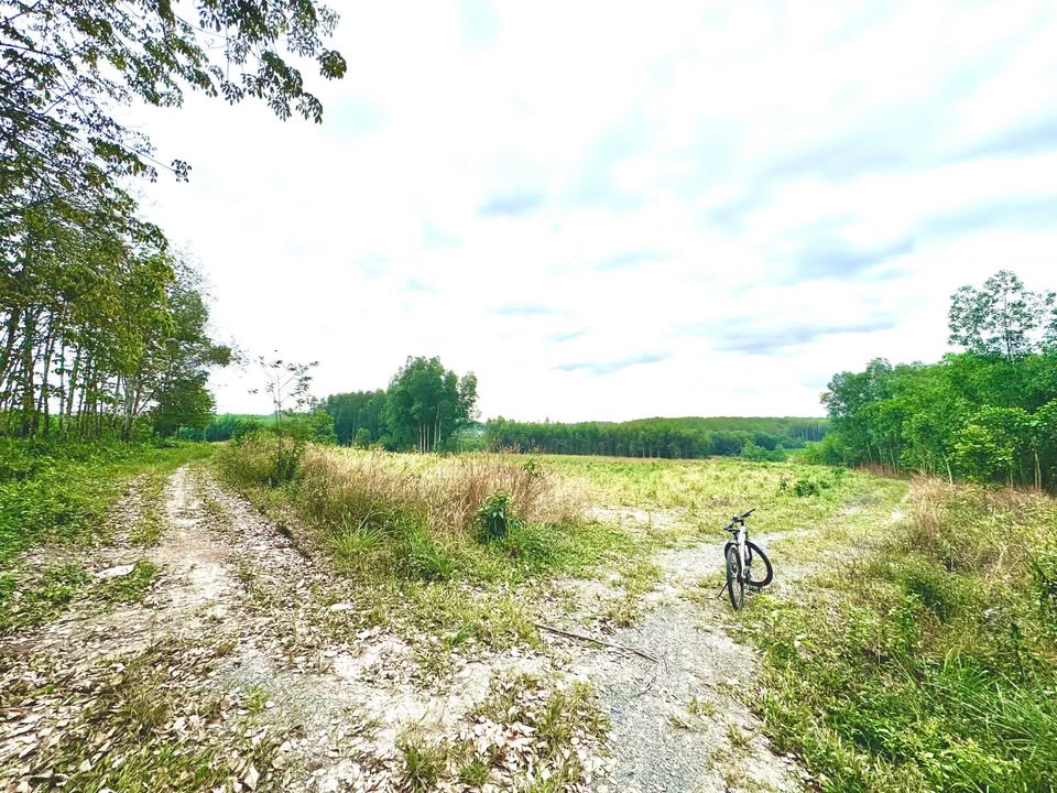 Đất nền Xuân Lộc, Đồng Nai 6900m² - Tiềm năng tăng giá vượt trội!