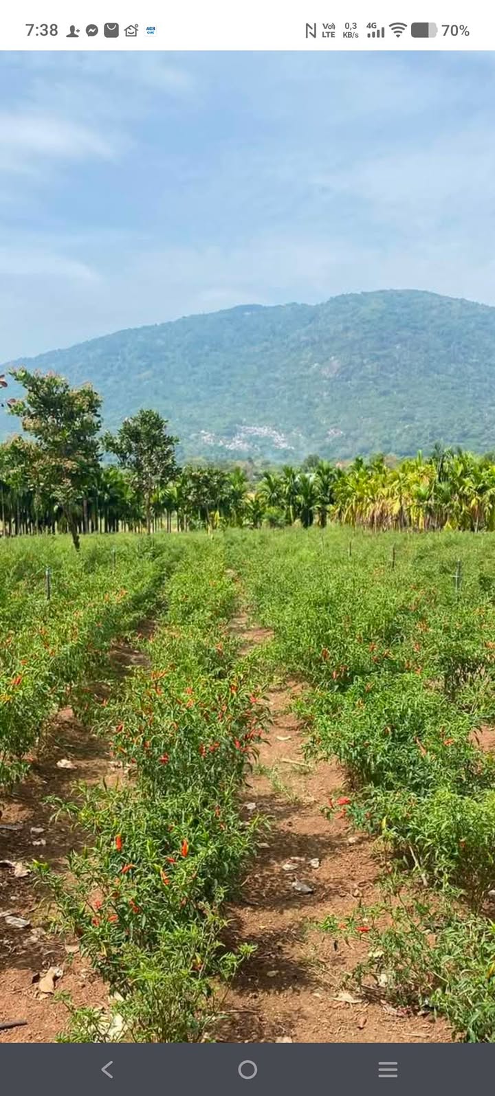 Lô đất Xuân Trường, Xuân Lộc 200m² giá 700 triệu - Sổ đỏ chính chủ!