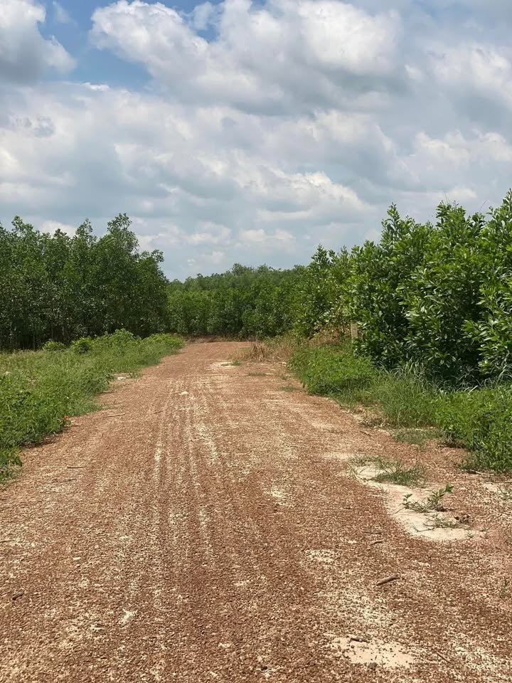 Đất Nền Xuân Tâm 20656m² - Tiềm Năng Tăng Giá Vượt Trội!