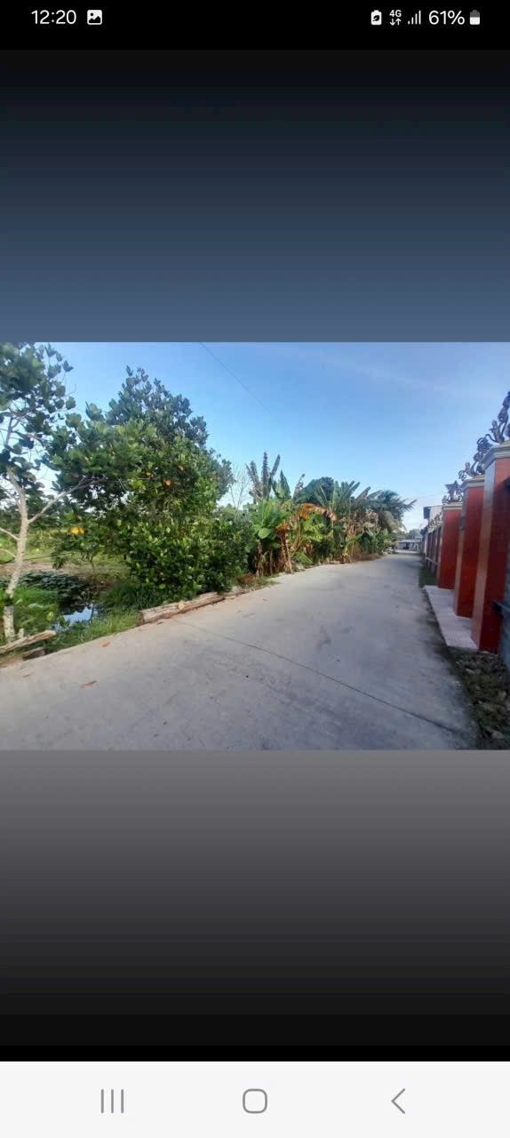 Đất Mặt Tiền Rạch Trà Niền Lớn - Phong Điền - 605m² - 1.65 Tỷ - Sẵn Sổ Đỏ