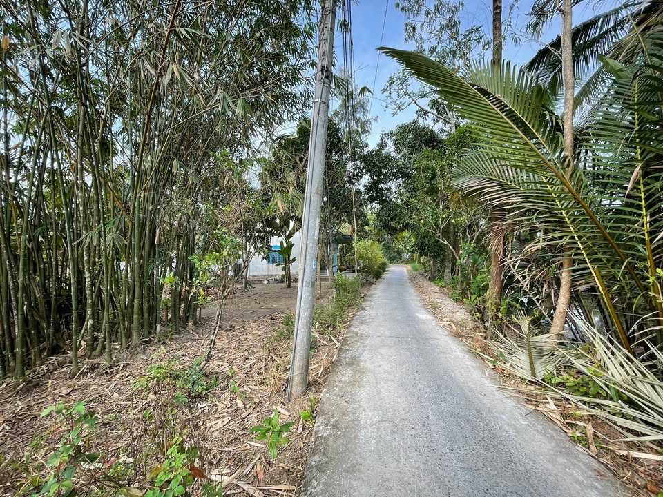 Đất nền Rạch Rau Muôi, Mỹ Khánh 770m² - Sổ đỏ chính chủ!