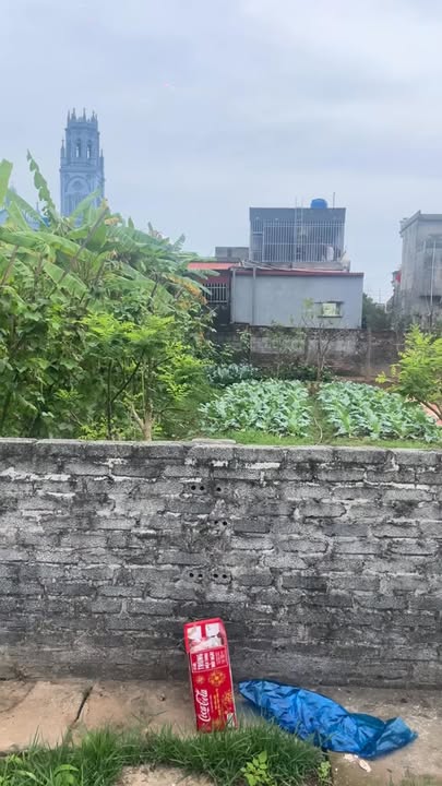 Bán Đất Nền 106m² Thôn Tiến Lợi, Tiền Hải, Thái Bình - Giá Tốt