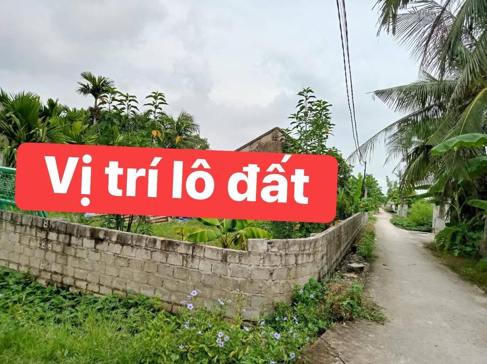 Đất nền Xã Nga Tân, Nga Sơn 175m² - Sổ đỏ chính chủ