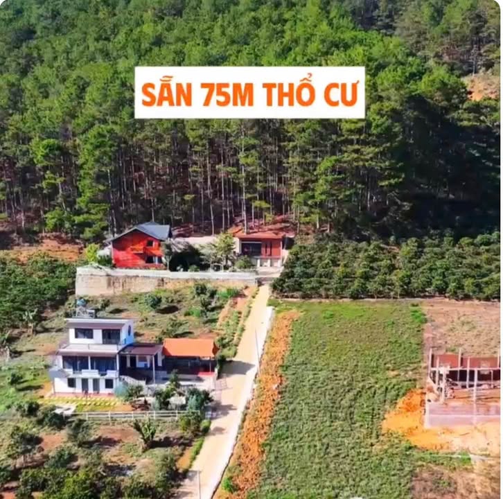 Đất Nền Mê Linh, Lâm Hà 105m² giá 799 triệu - Sổ đỏ chính chủ!