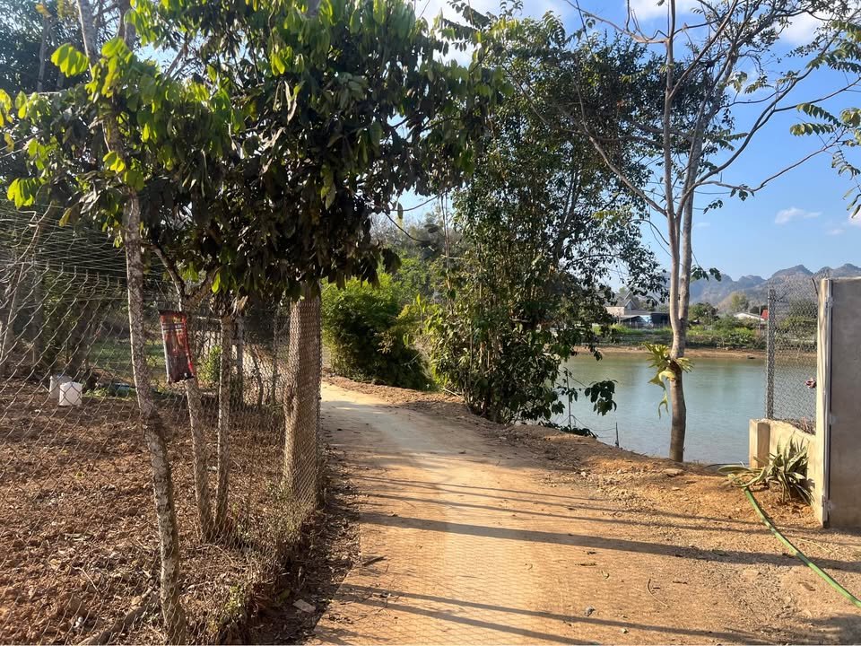 Đất vườn Mộc Châu 1600m² - Sinh thái xanh, sổ hồng sẵn!