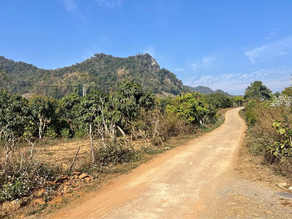 Đất vườn Bản Pát Chiềng Ngần 700m² giá 250 triệu - Sổ đỏ chính chủ!