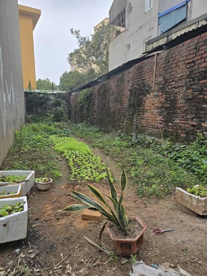 Đất Nền Long Biên 61.5m² giá 7 tỷ - Sổ đỏ chính chủ, tiềm năng sinh lời!