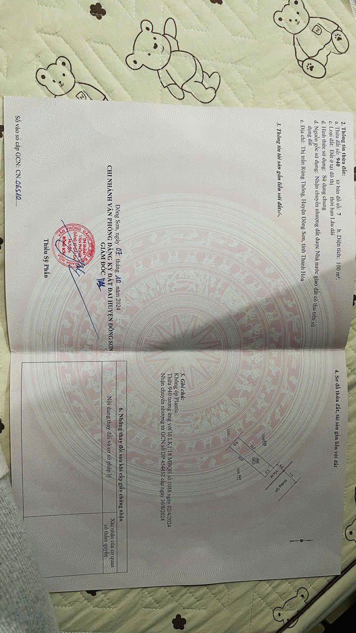 Đất nền MB1088, TP Thanh Hóa 100m² - Sổ đỏ chính chủ, giá đầu tư