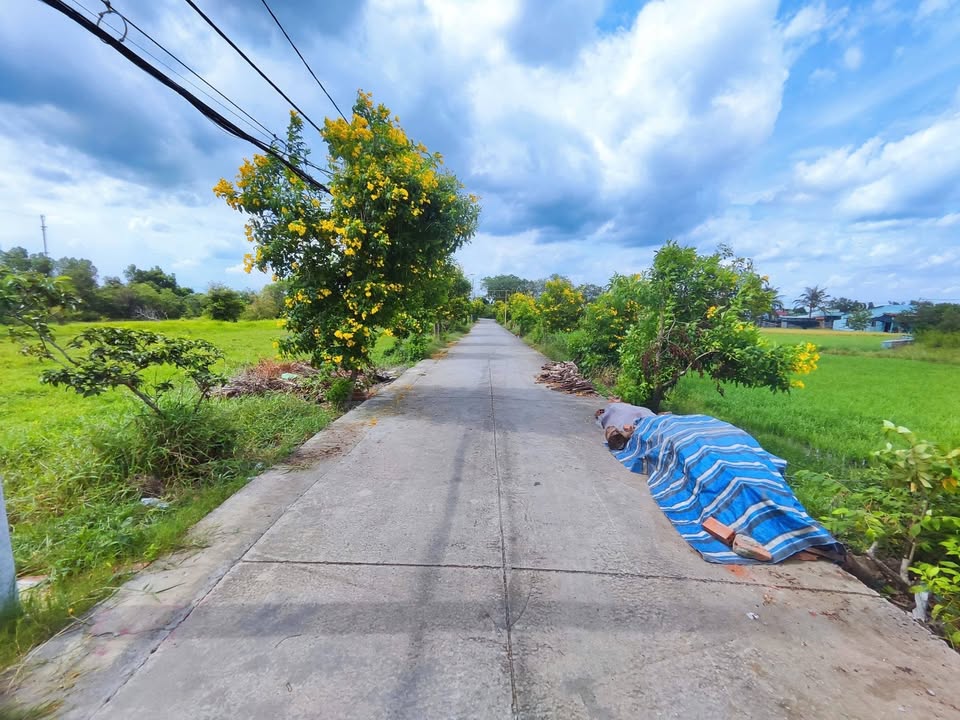 Bán Đất Thổ Cư Bình Chánh 2050m² - Sổ Riêng, Sẵn Sàng Công Chứng