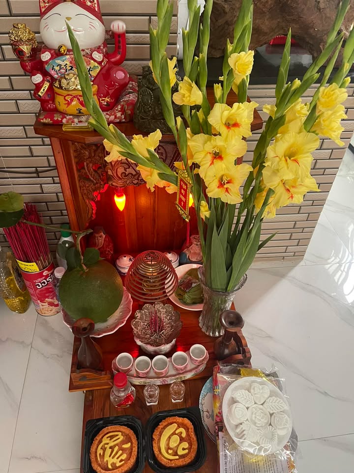 Đất nền An Phú Thịnh Quy Nhơn 60m² - Đường to ô tô, tiềm năng tăng giá!