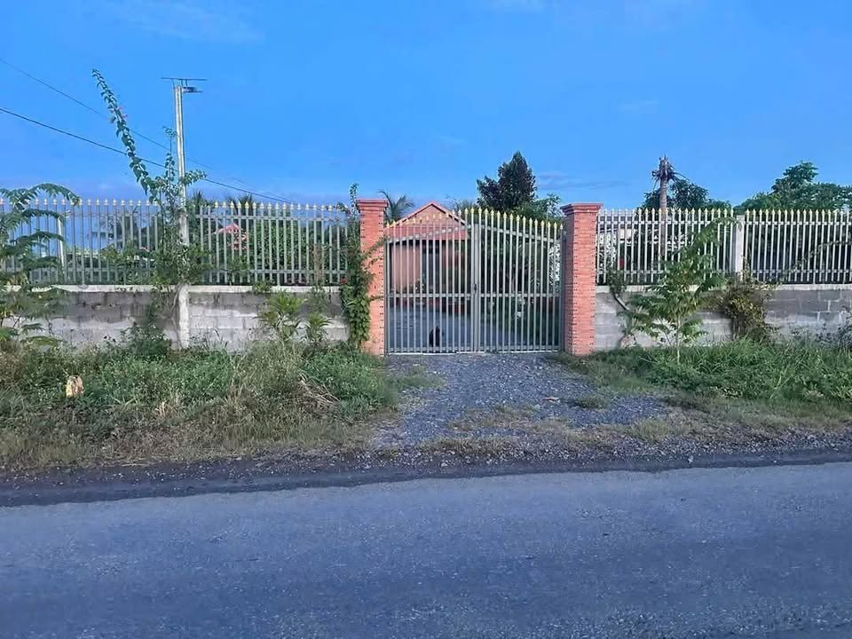 Nhà vườn Tân An, Long An 1059m² - Nghỉ dưỡng lý tưởng!