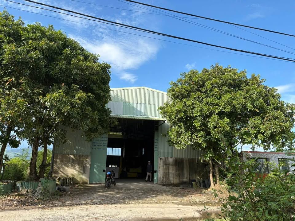 Kho Diên Hòa 410m² - Container thoải, giá 15 triệu/tháng