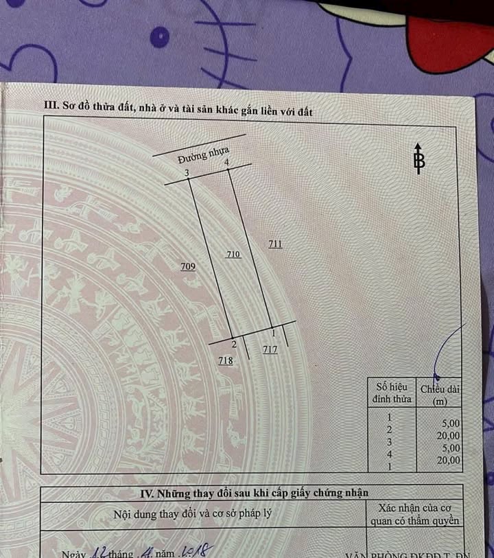 Đất thổ cư Tam Phước Biên Hòa 100m² - Sổ đỏ chính chủ xây ở ngay!