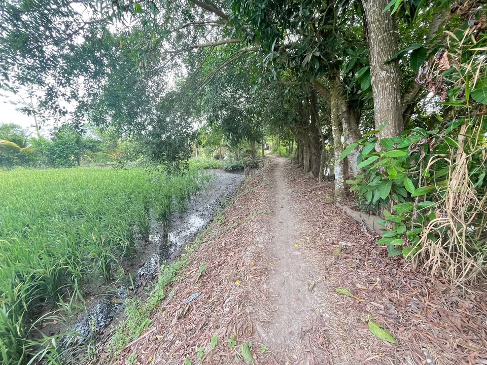 Bán gấp 9469m² đất vườn Cần Thơ - Sổ hồng chính chủ