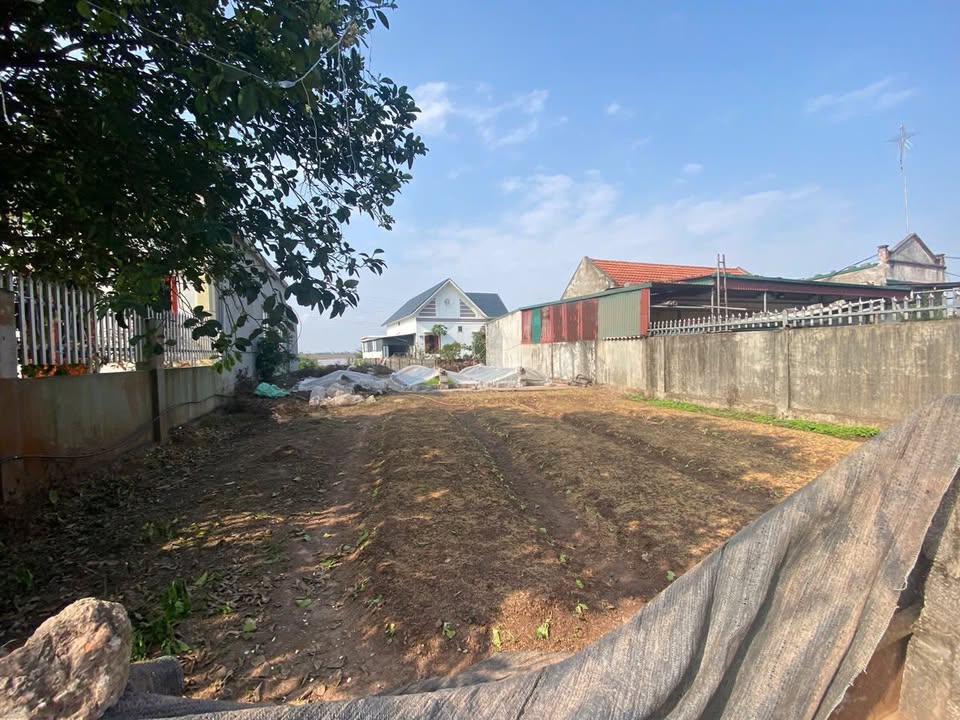 Đất nền An Quý, Quỳnh Phụ, Thái Bình 115m² - Sổ đỏ chính chủ