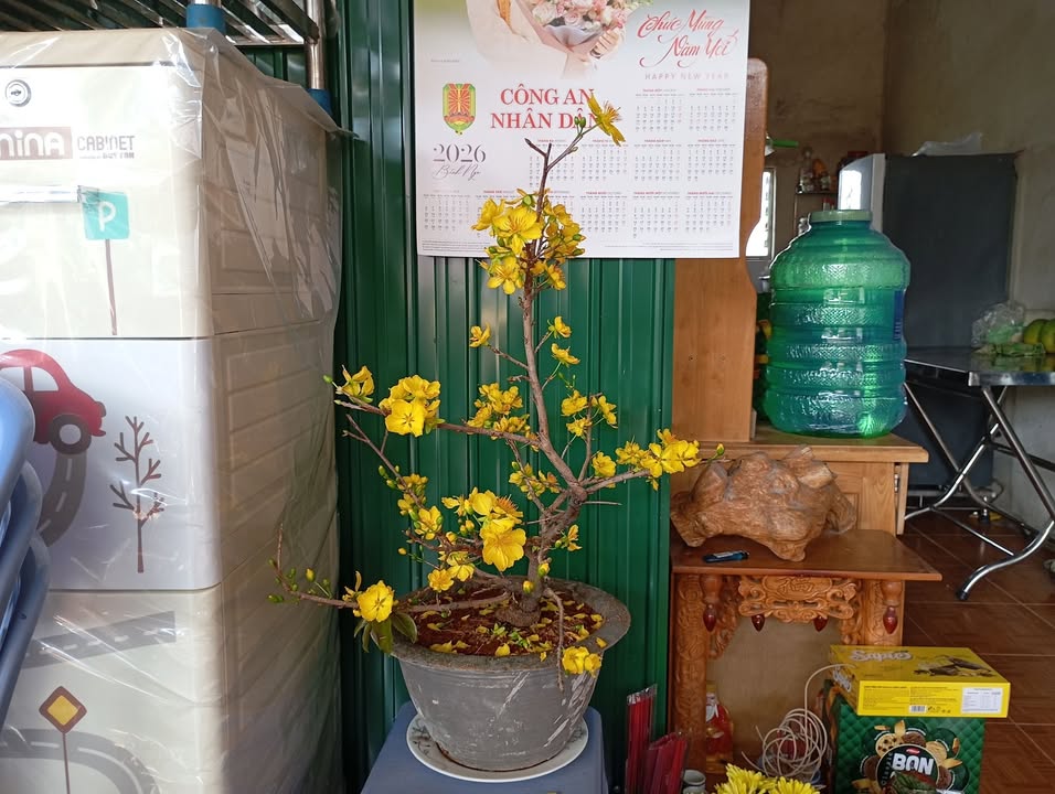 Đất nền Tân Nghĩa, Di Linh 7300m² - Sổ đỏ chính chủ