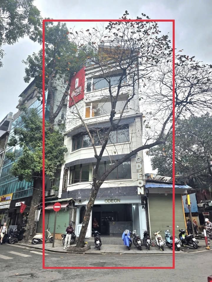 Nhà Phố Trần Phú, Hoàn Kiếm - 291m², Vị Trí Đắc Địa