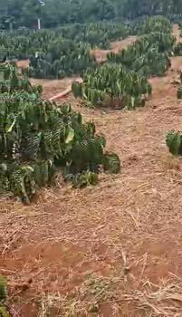 Đất nền Tân Hà, Lâm Hà 720m² giá 1.5 tỷ - Sổ đỏ chính chủ