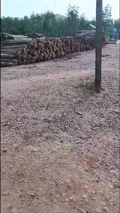 Bán Đất Vài Trăm Triệu/Lô Nhỏ Bình Định - 2000m2 Gần QL19