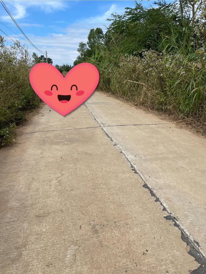 Đất thổ cư Cư Jút - Đắk Nông 225m² | Sổ đỏ sẵn sàng, giá chỉ 550 triệu