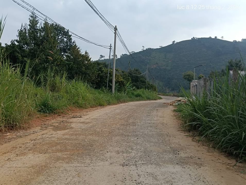 Bán đất vườn sầu riêng 720m² tại Bảo Lâm, Lâm Đồng - Thu nhập ổn định, mặt tiền 35m