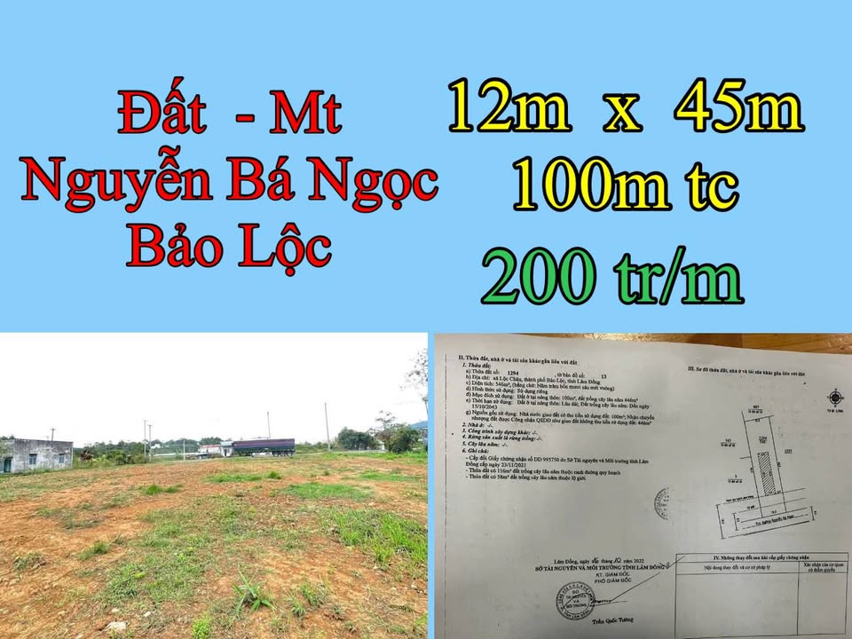 Đất Mặt Tiền Nguyễn Bá Ngọc, Bảo Lộc - 540m² Sổ Đỏ, Giá Tốt