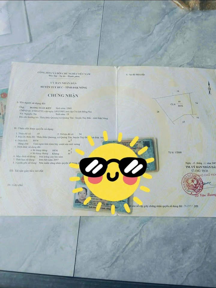 Bán gấp 1.2ha Đất Vườn Đạ Huoai, Lâm Đồng - Sổ 8.8 sào, Giá chỉ 800 triệu