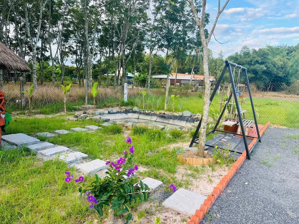 Nhà Vườn Mini 336m² Giá 580 Triệu - Ấp Phước Đông, Gò Dầu