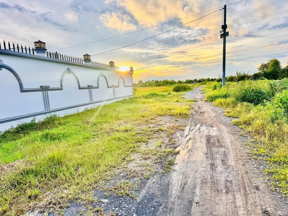 Đất Thị Trấn Đức Hòa 1400m² - Giá 4.9 Tỷ, Sổ Hồng, Hạ Gấp