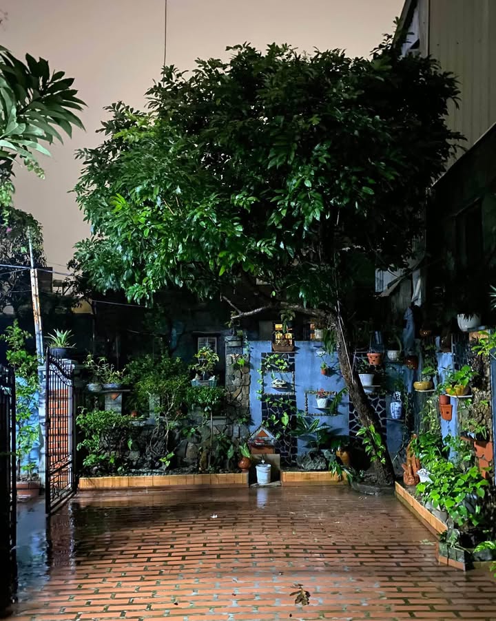 Nhà Kiệt Trần Nguyên Hãn, Huế 80m² - Giá Tốt Hiếm Có!