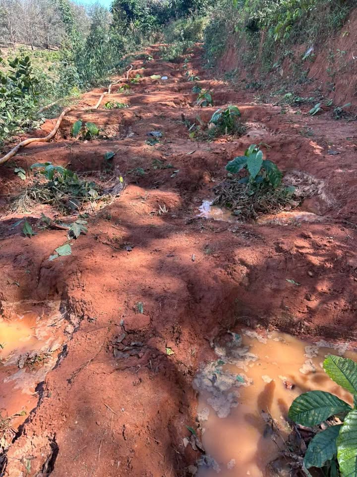 Đất Rẫy 1.7ha Đắk Glei, Kon Tum - Pháp lý rõ ràng, tiềm năng!