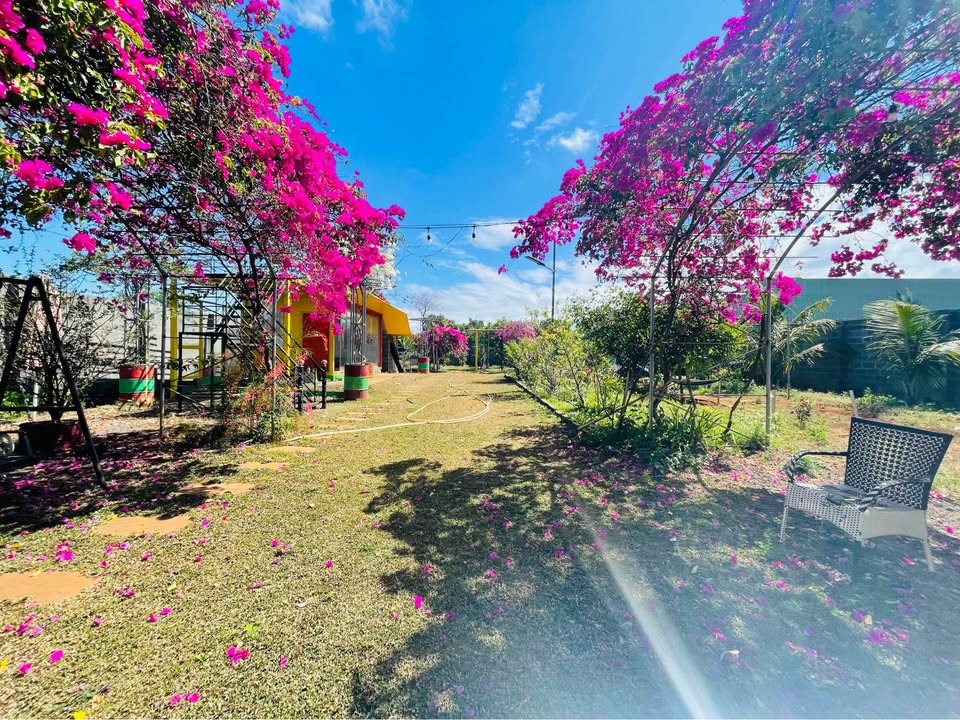 Đất Vườn Đồi Thông Quy Nhơn 880m² - Sổ Hồng Thổ Cư