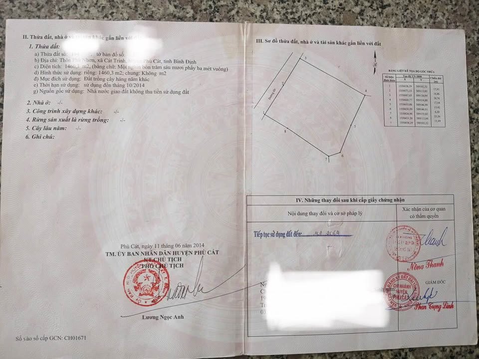 Đất nền Cát Trinh, Phù Cát 1959m² - Tiềm năng tăng giá!