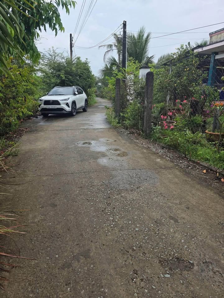 Đất lúa Hòa Phú, Châu Thành 1000m² giá 1.1 tỷ - Sổ đỏ chính chủ!